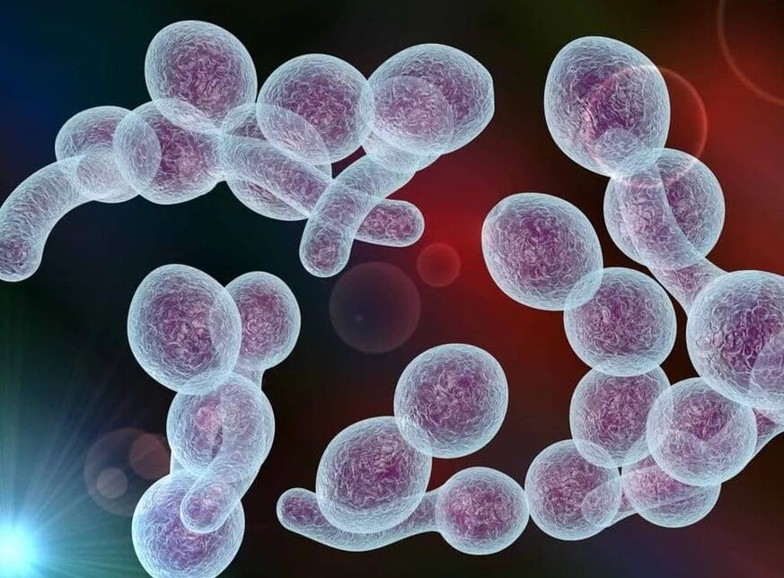 Prostatite bacteriana